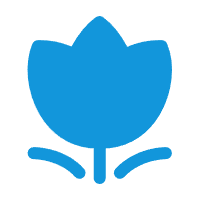Custom Icon